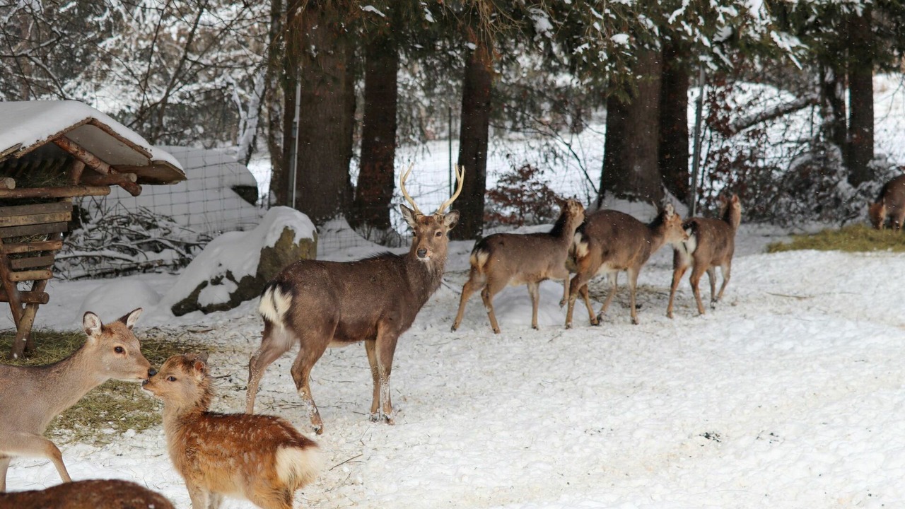 Photo of Others in Oberkreuzberg