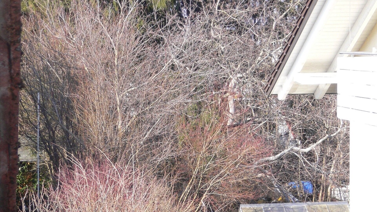 Photo of Outdoor in Munchen District