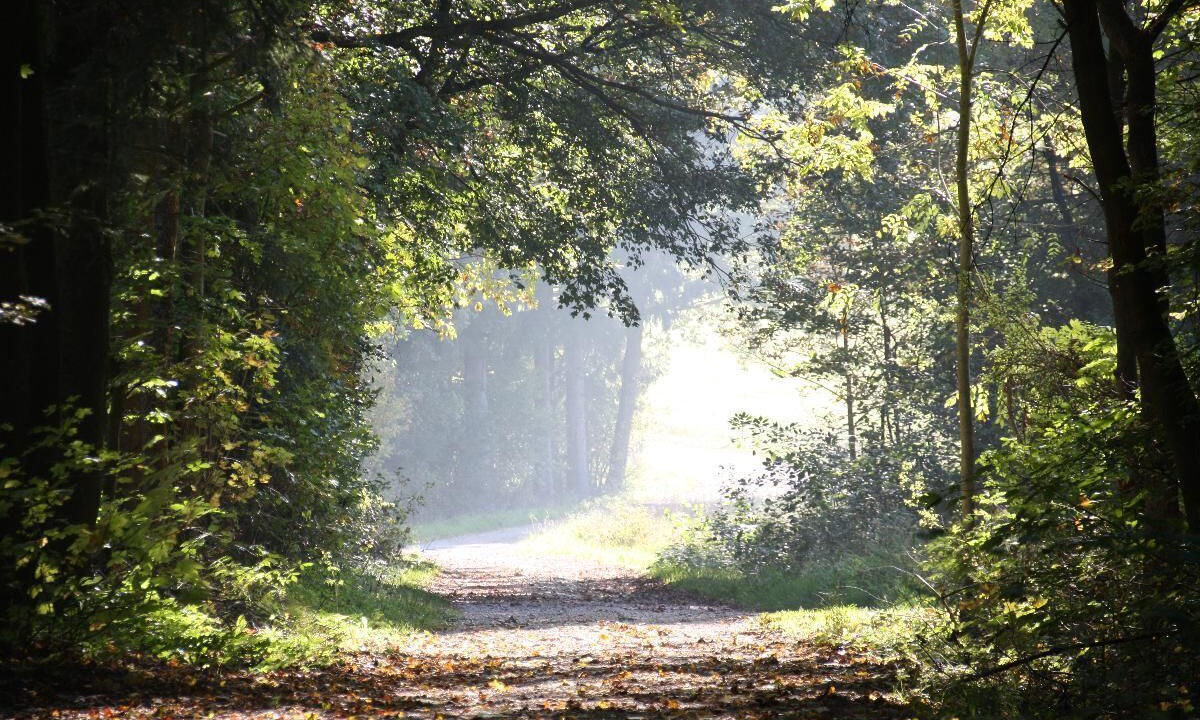 Photo of Outdoor in Staffelstein