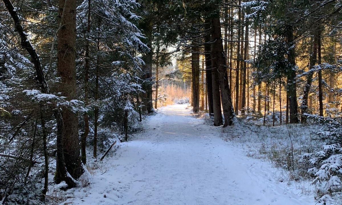 Photo of Outdoor in Riedering