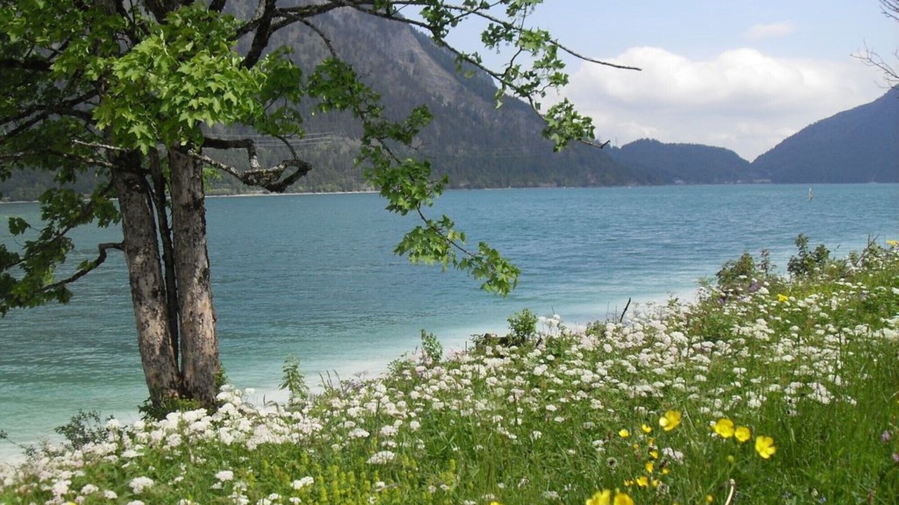 Photo of Others in Kochel am See