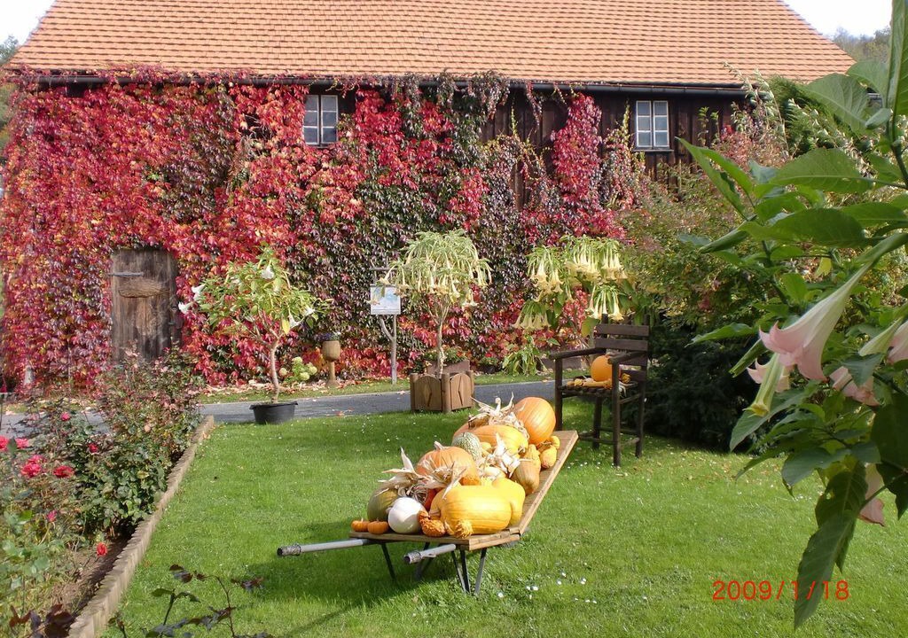 Photo of Outdoor in Pfaffendorf