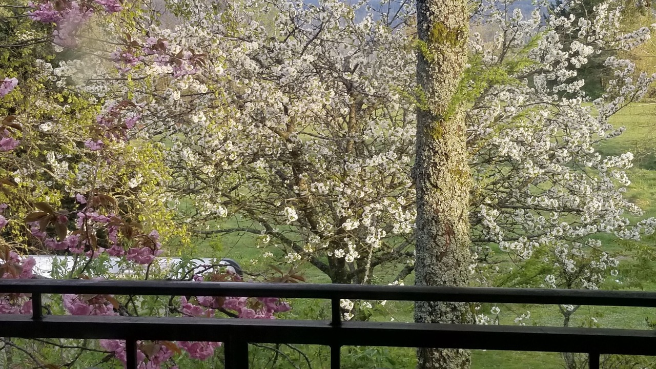 Photo of Outdoor in Nordhalben