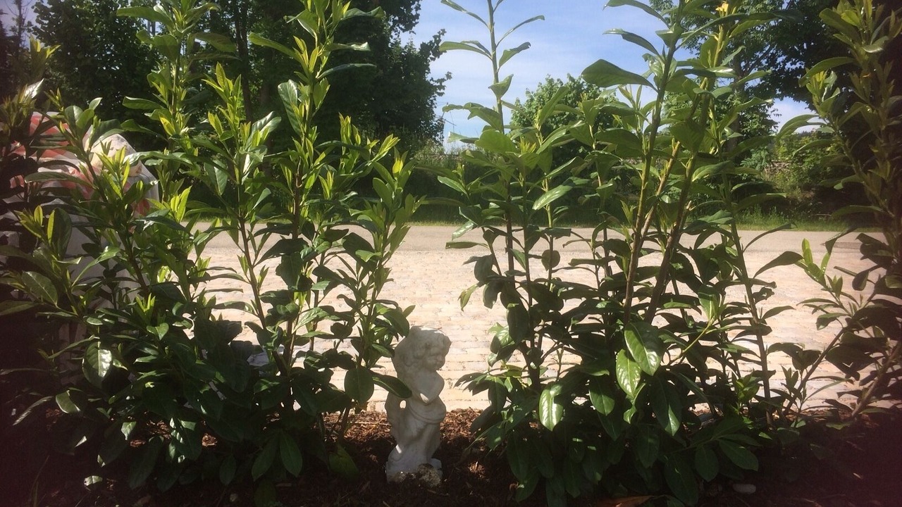 Photo of Outdoor in Feldkirchen-Westerham