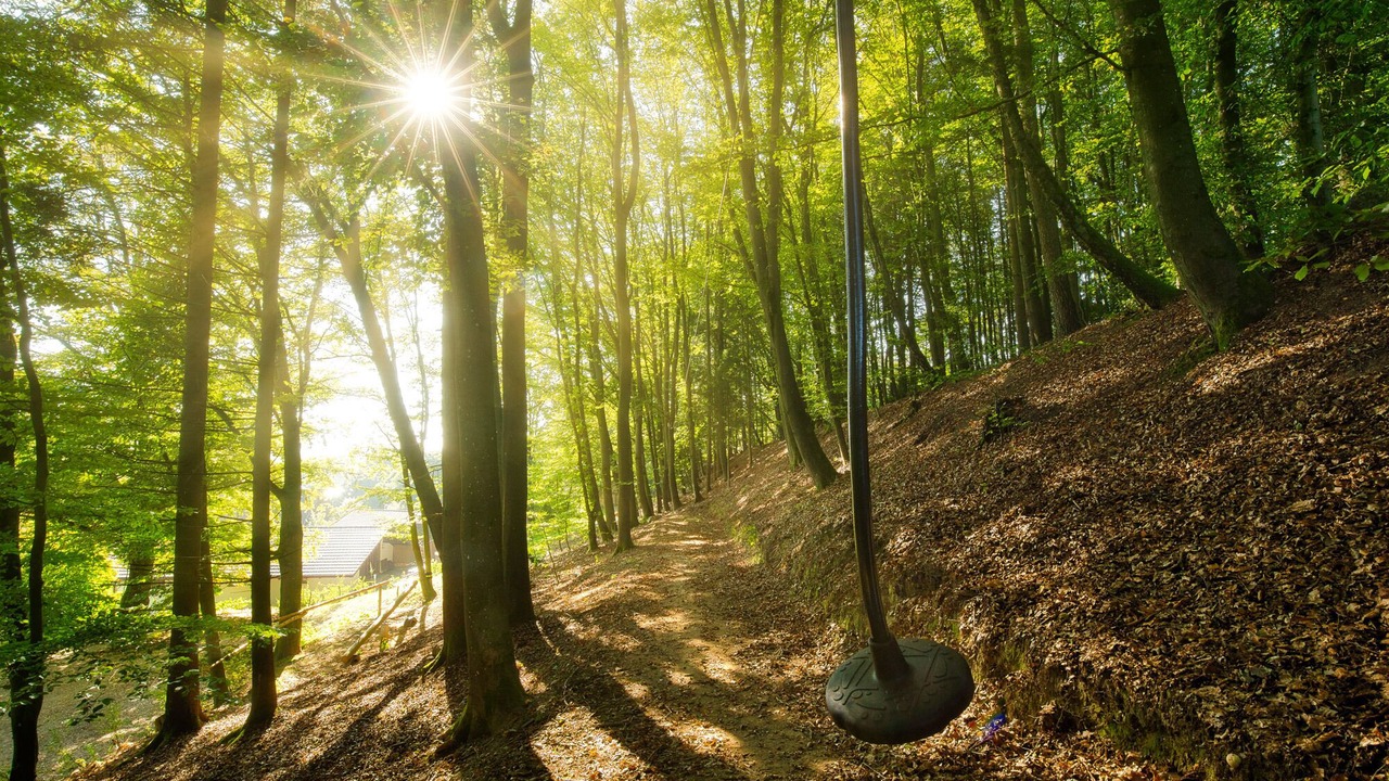 Photo of Outdoor in Loitzendorf