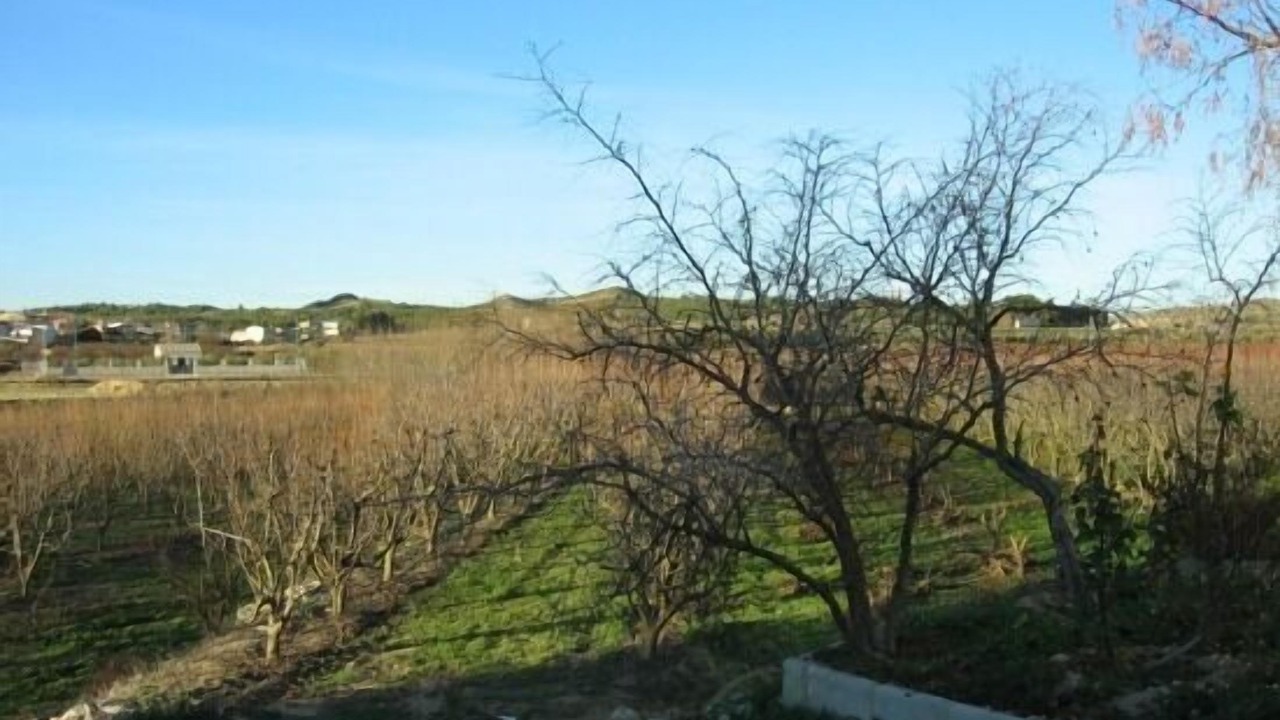 Photo of Outdoor in Hellin