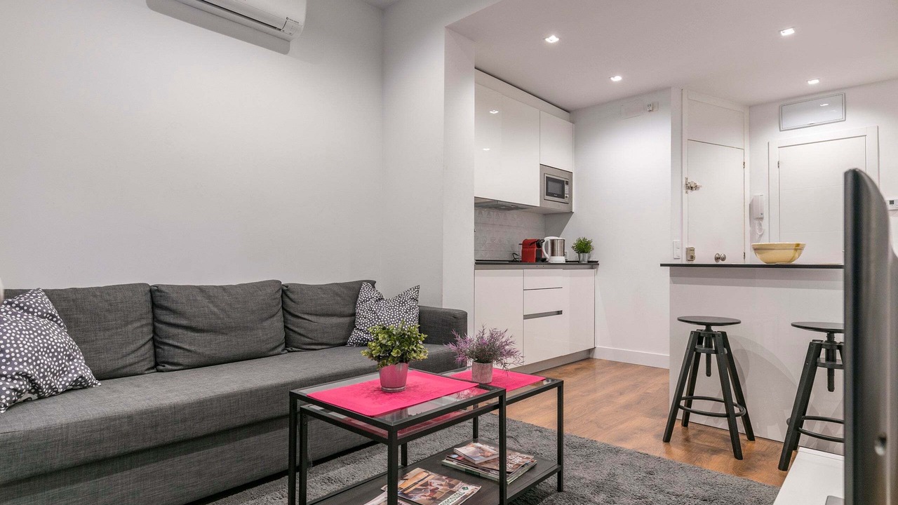 Photo of Livingroom in Embajadores
