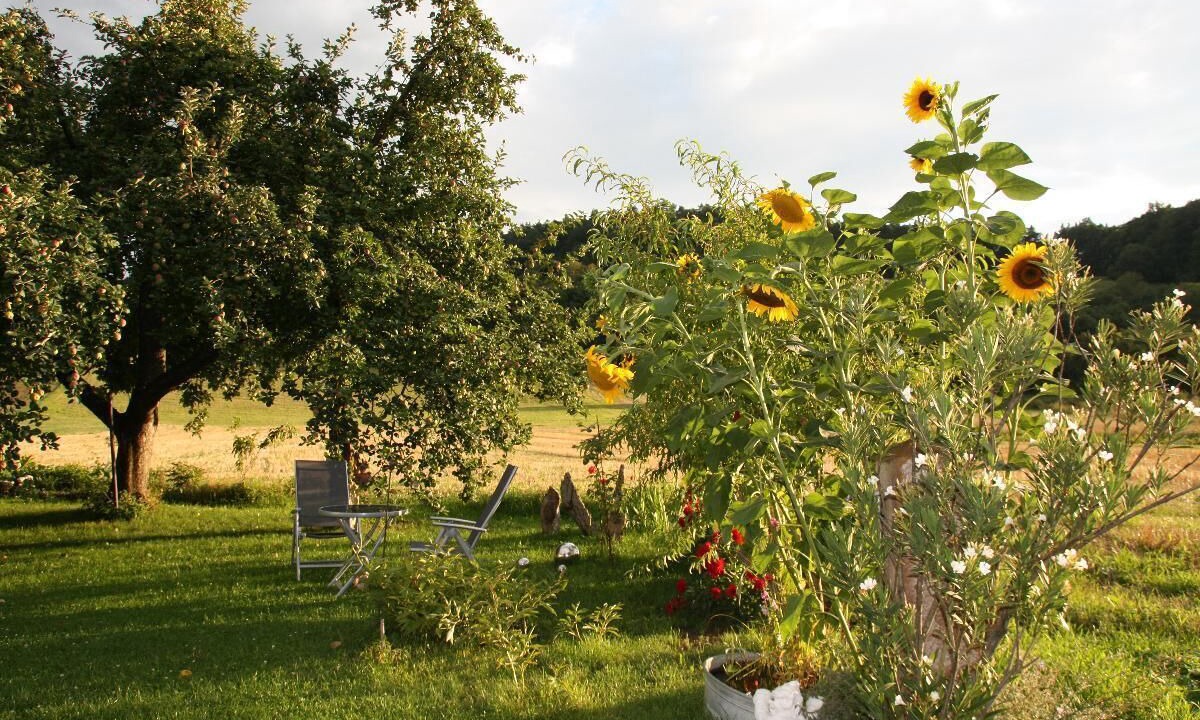 Photo of Outdoor in Staffelstein