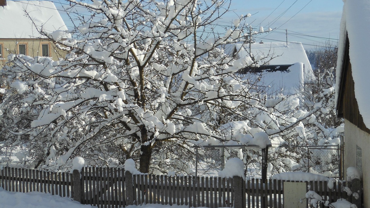 Photo of Outdoor in Stammbach
