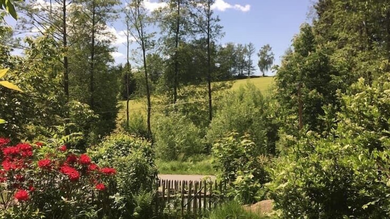 Photo of Outdoor in Rimbach