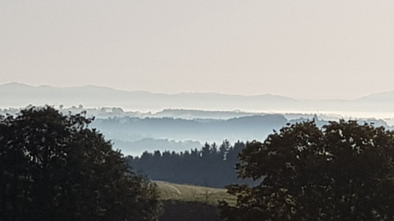 Photo of Others in Vordergalgenberg
