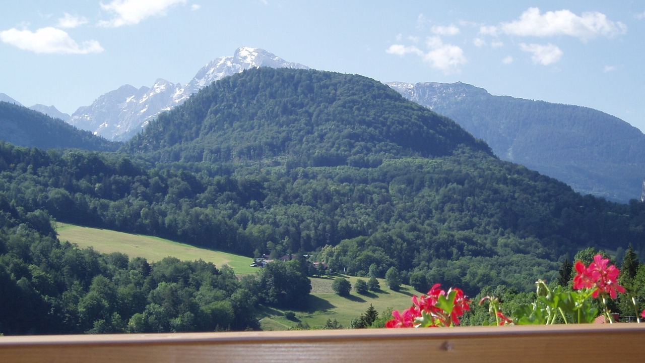 Photo of Others in Schneefelden