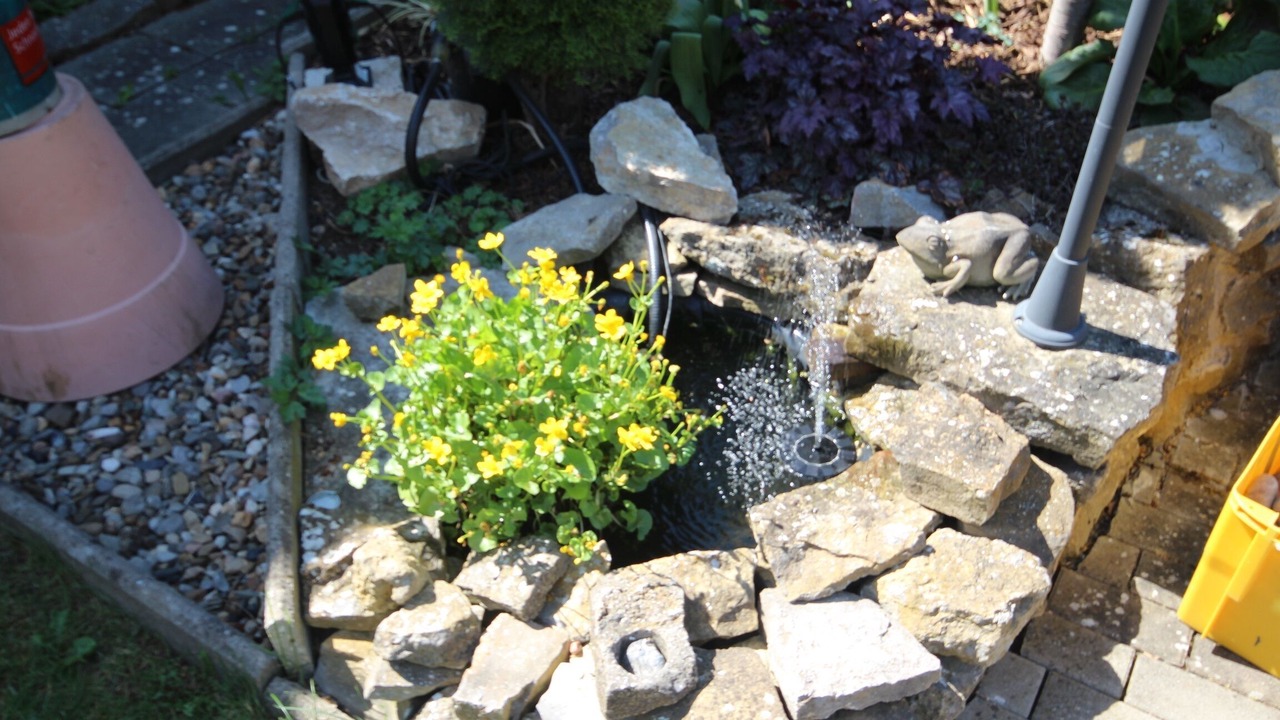 Photo of Outdoor in Dettelbach