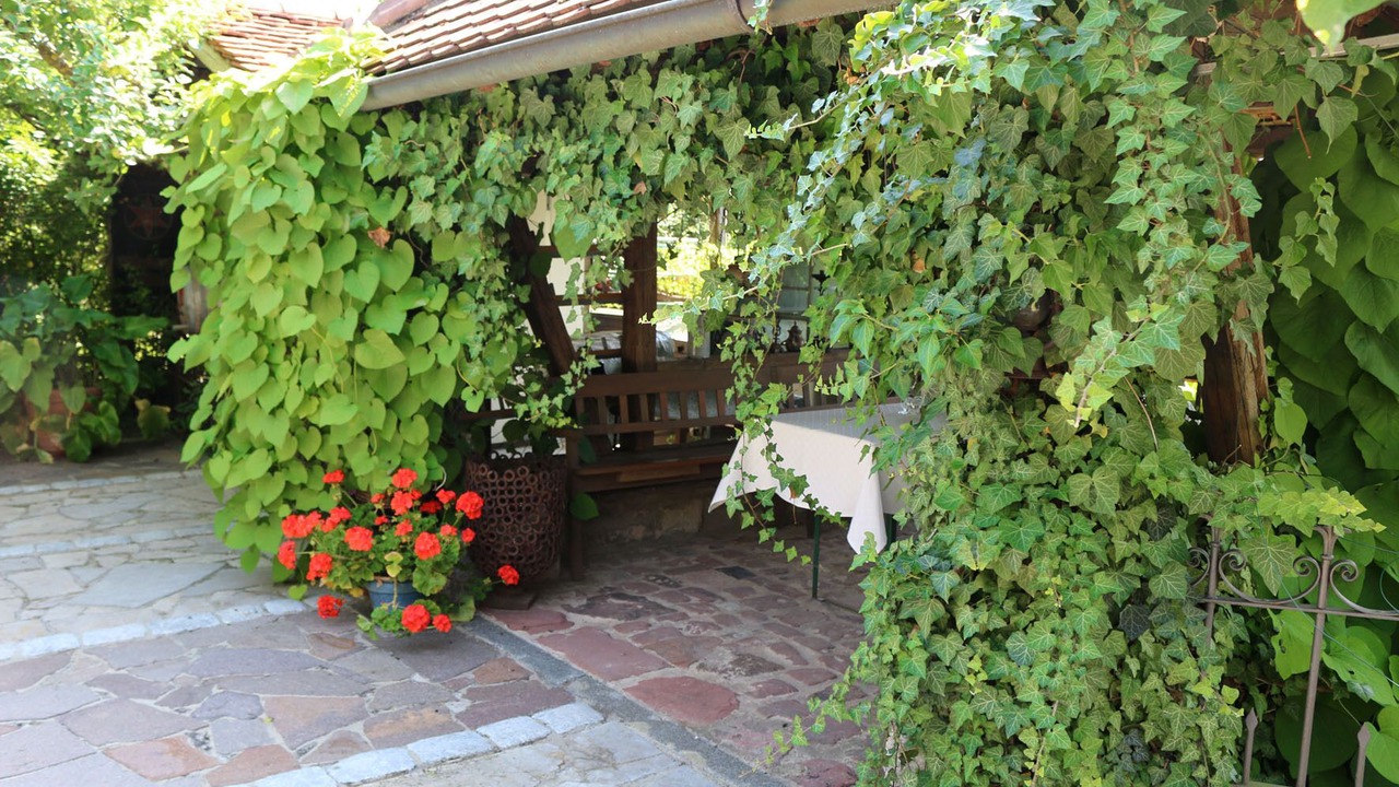 Photo of Outdoor in Sommerach