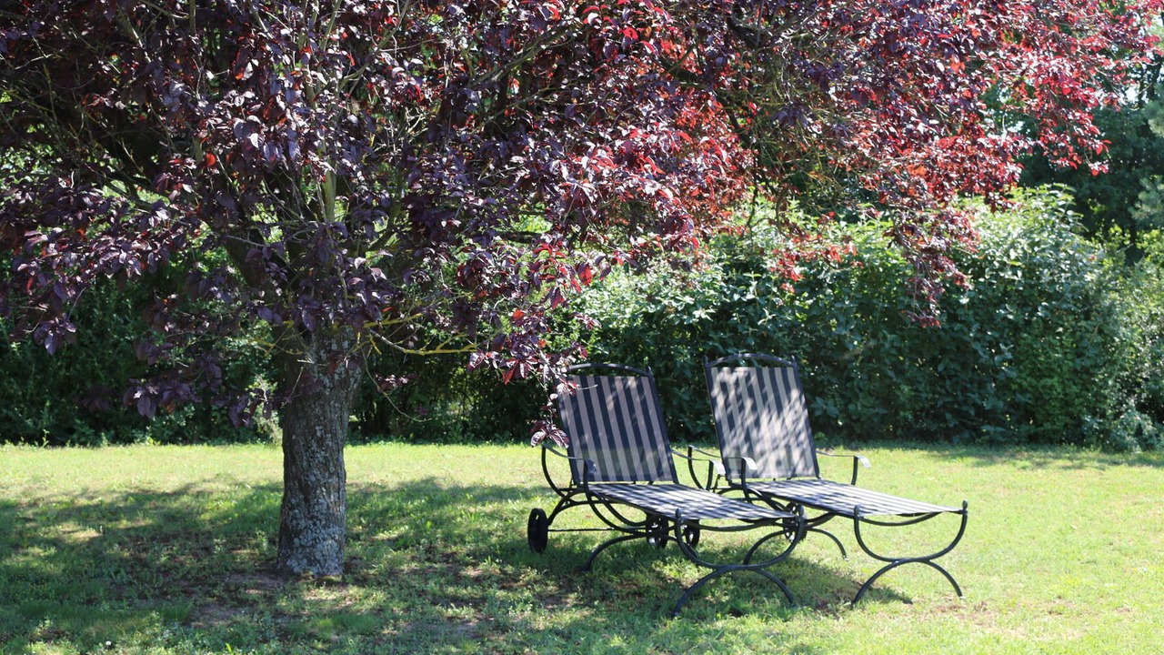 Photo of Outdoor in Sommerach