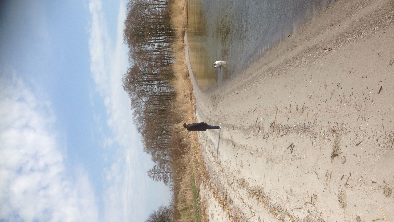Photo of Others in Dargen