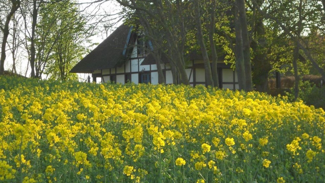 Photo of Outdoor in Neverow