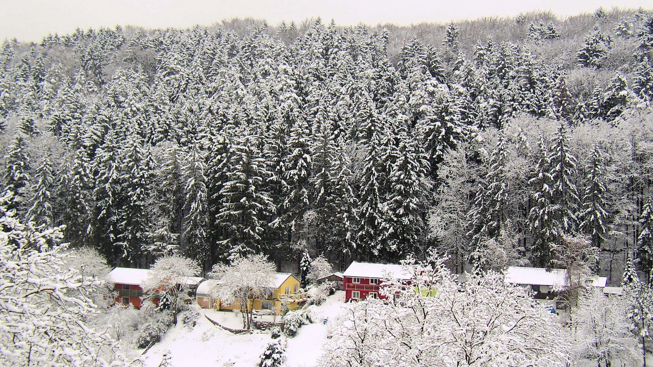 Photo of Outdoor in Egloffstein
