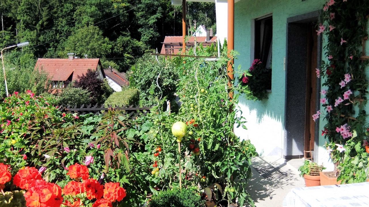 Photo of Outdoor in Egloffstein