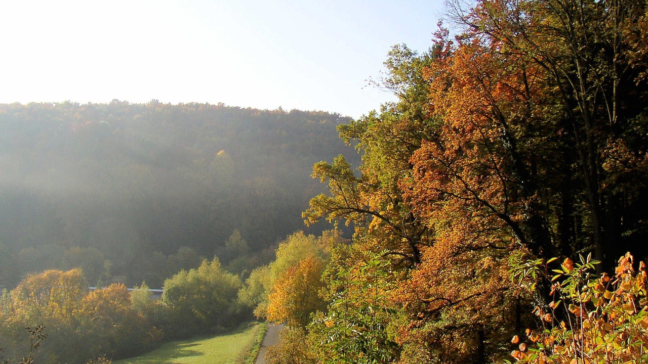 Photo of Others in Egloffstein