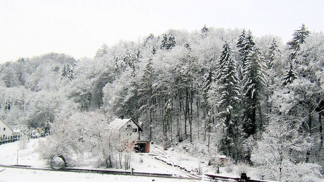 Photo of Others in Egloffstein