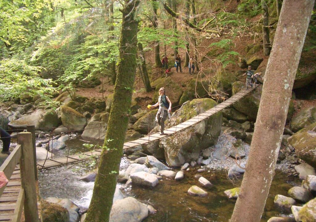 Photo of Outdoor in Witzmannsberg