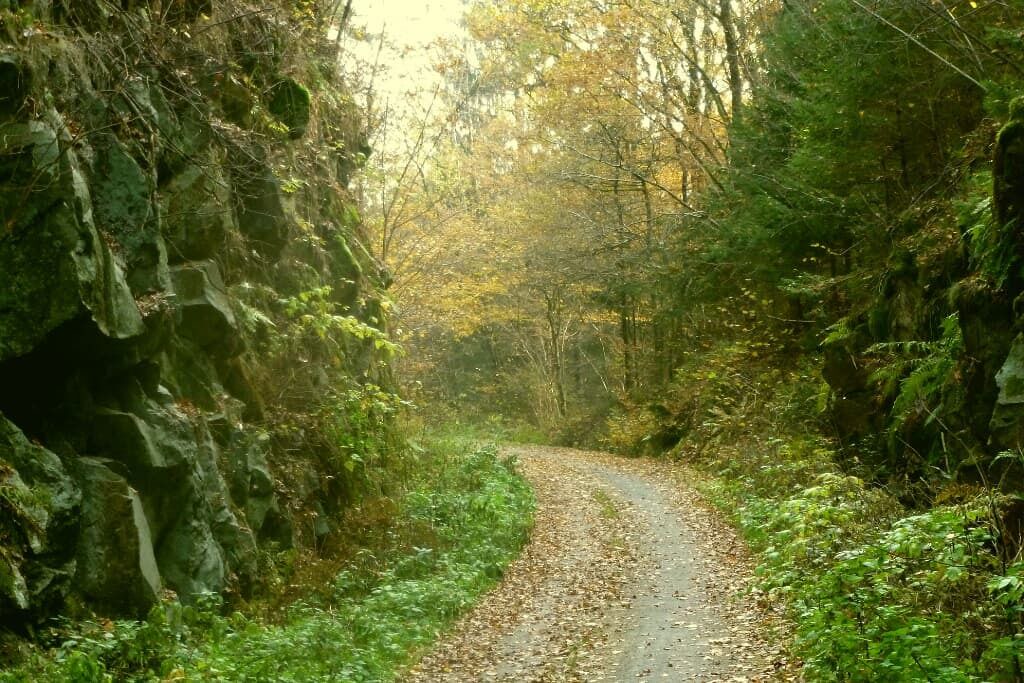 Photo of Outdoor in Witzmannsberg