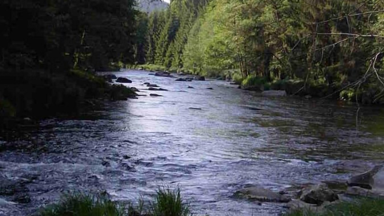 Photo of Others in Witzmannsberg