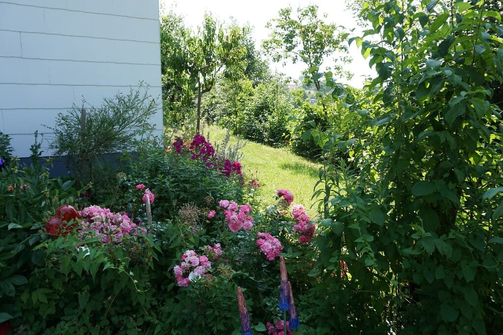 Photo of Outdoor in Witzmannsberg