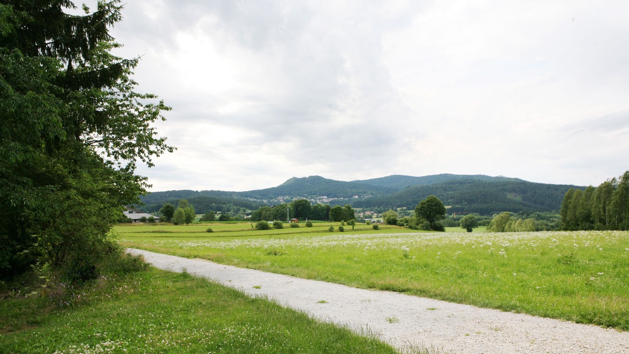 Photo of Others in Zwiesel