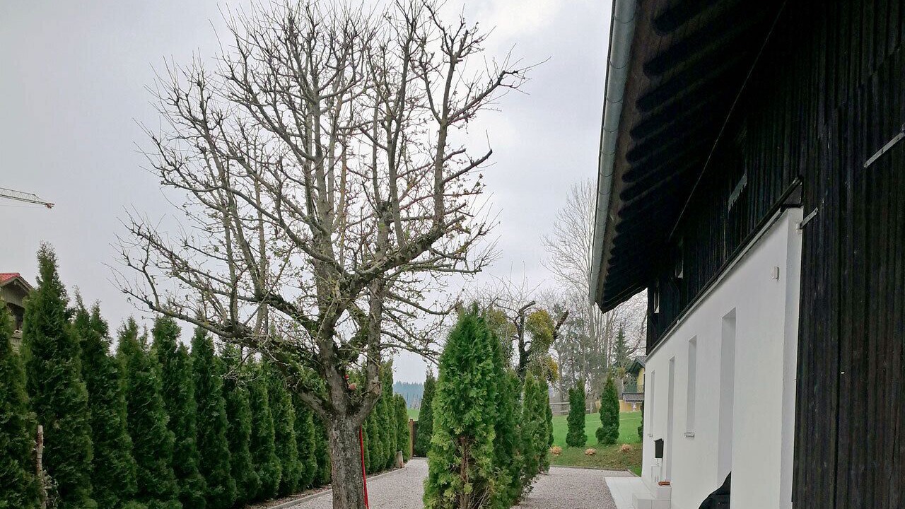 Photo of Outdoor in Degerndorf