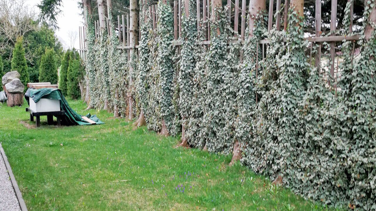 Photo of Outdoor in Degerndorf