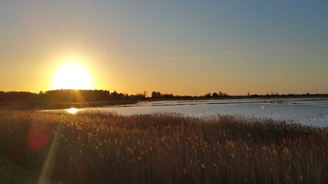 Photo of Others in Thiessow