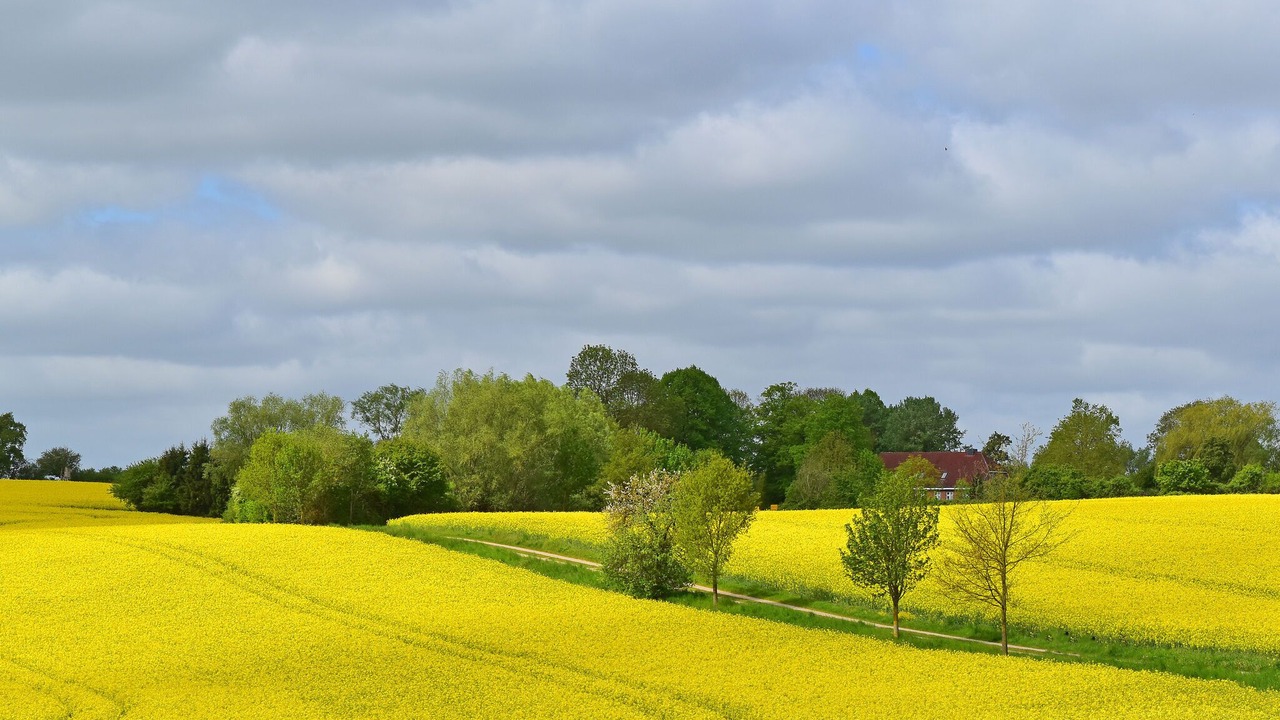 Photo of Others in Metelsdorf
