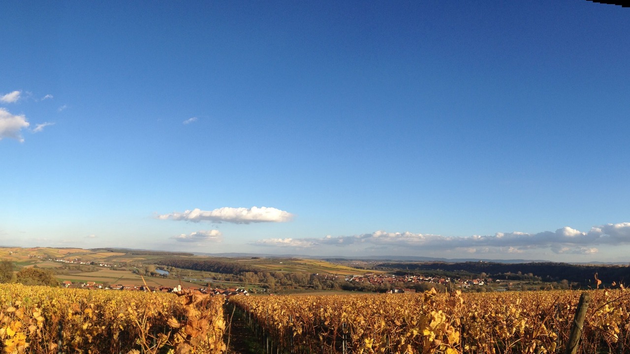 Photo of Outdoor in Bergtheim