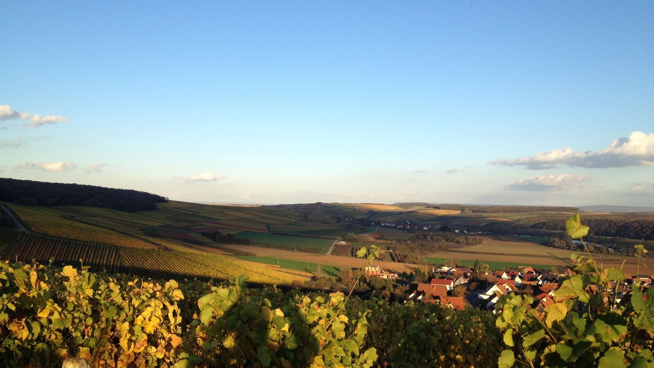 Photo of Others in Bergtheim