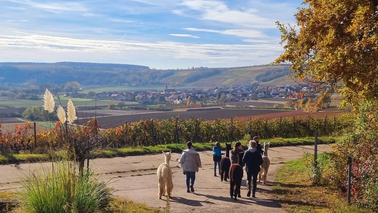 Photo of Outdoor in Bergtheim