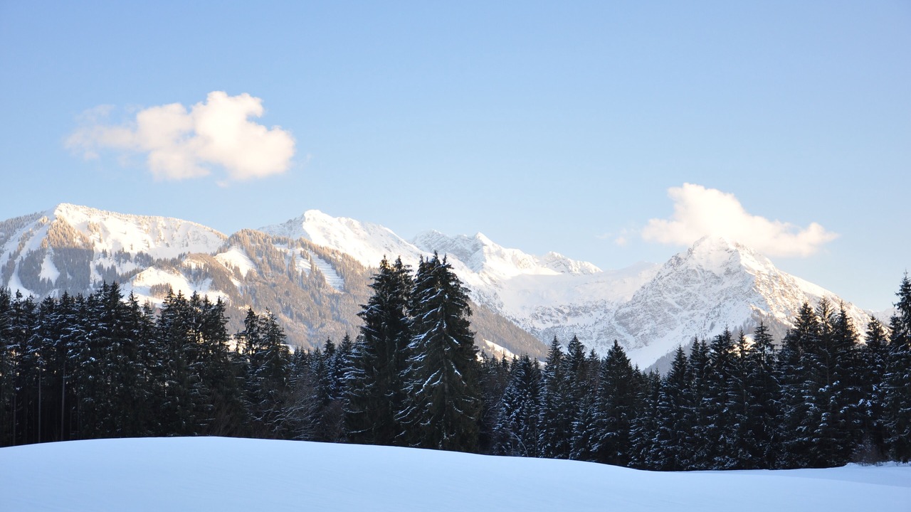 Photo of Others in Fischen im Allgaeu