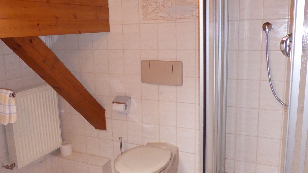 Photo of Bathroom in Obermaiselstein