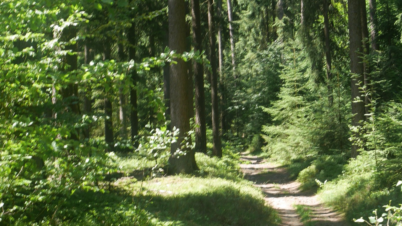 Photo of Outdoor in Wunsiedel