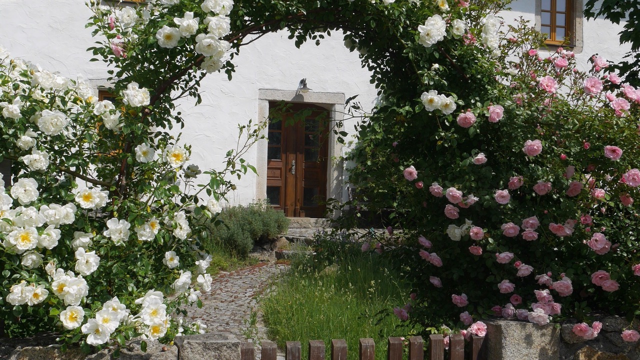 Photo of Outdoor in Wunsiedel