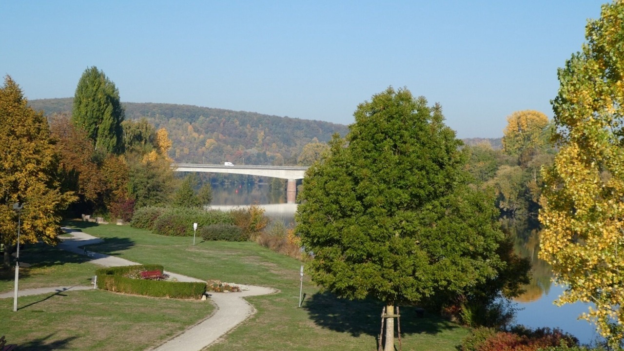 Photo of Others in Zellingen