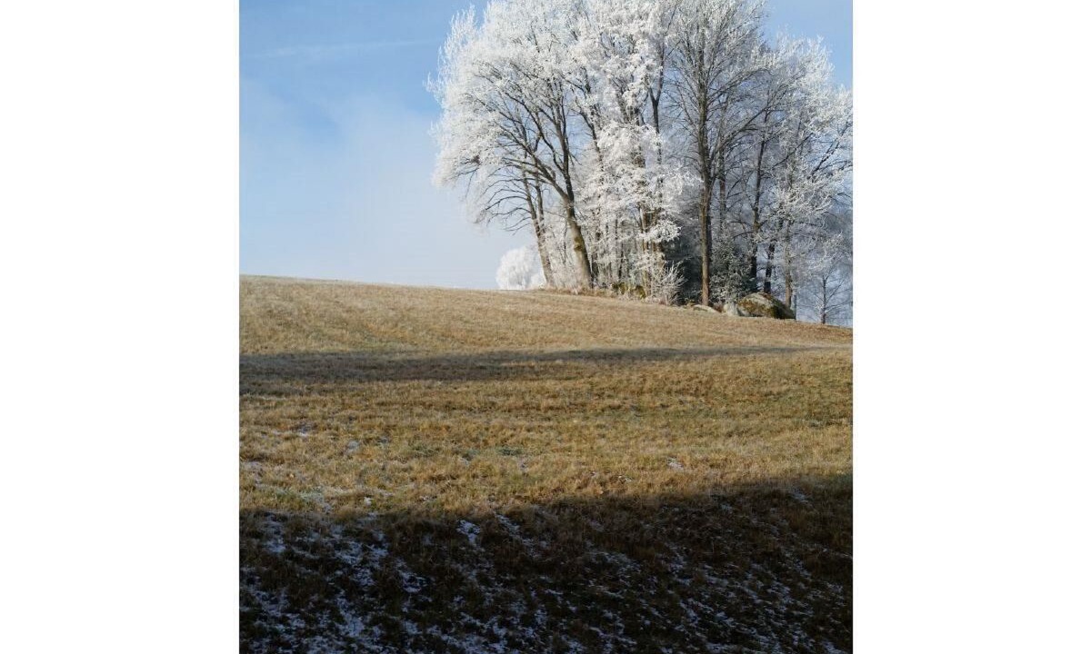 Photo of Others in Eppenschlag