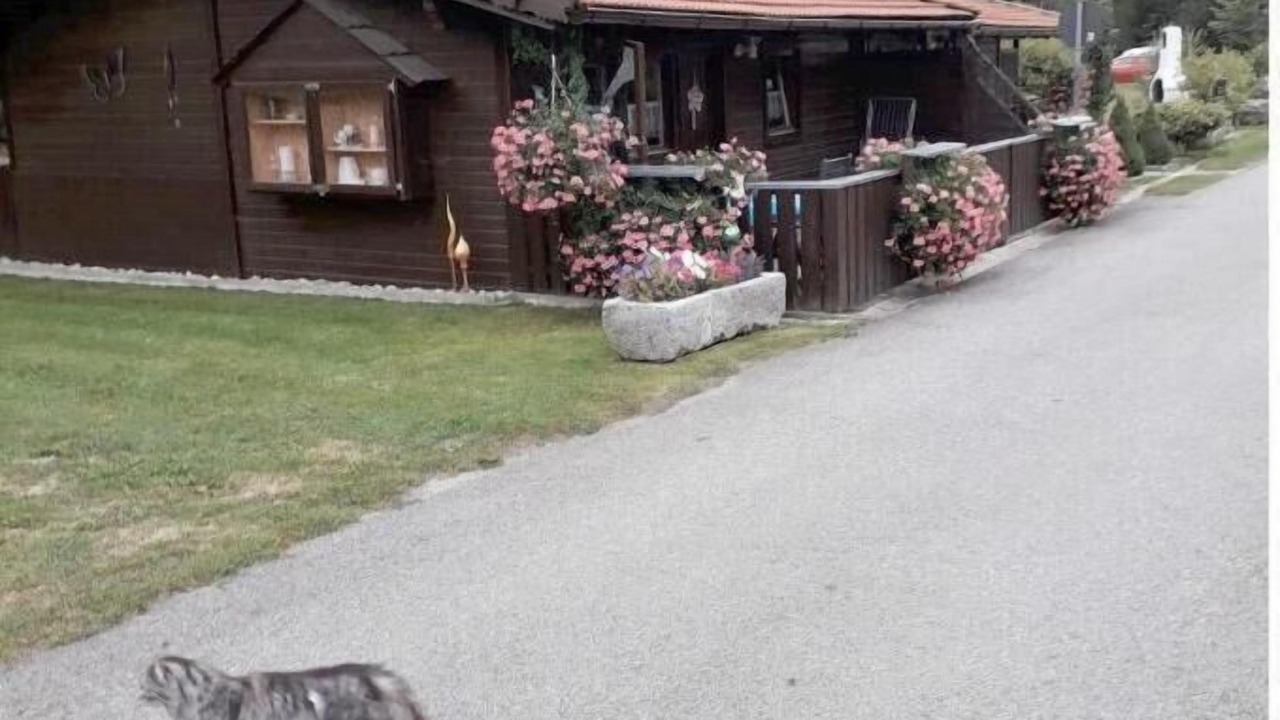 Photo of Outdoor in Eppenschlag