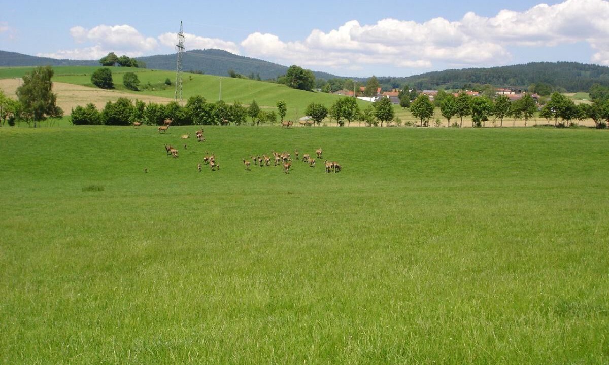 Photo of Others in Eppenschlag