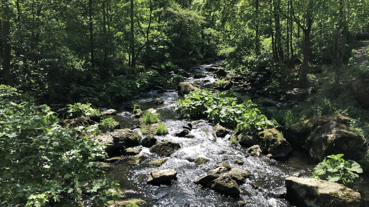 Photo of Outdoor in Schauenstein