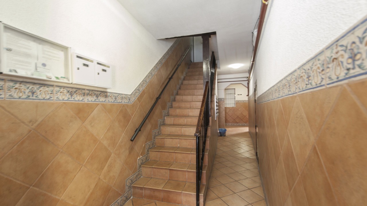 Photo of Others in Palacio