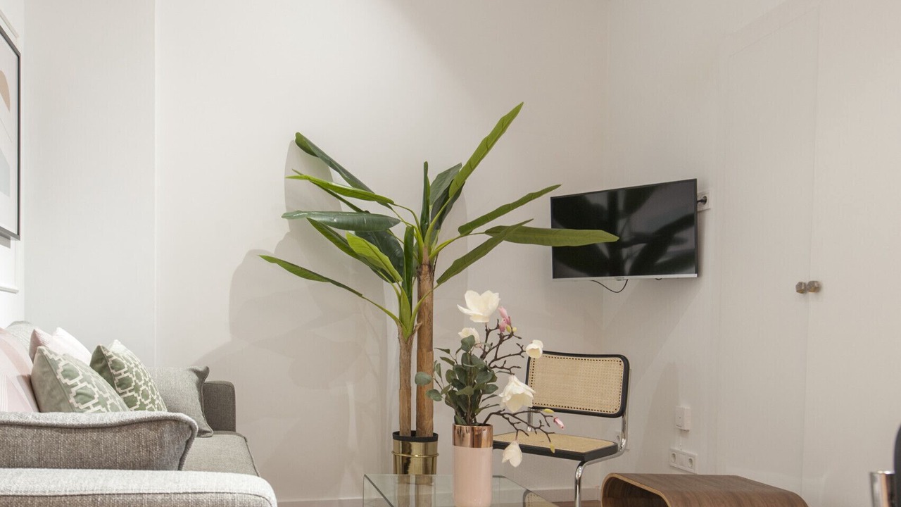 Photo of Livingroom in Palacio