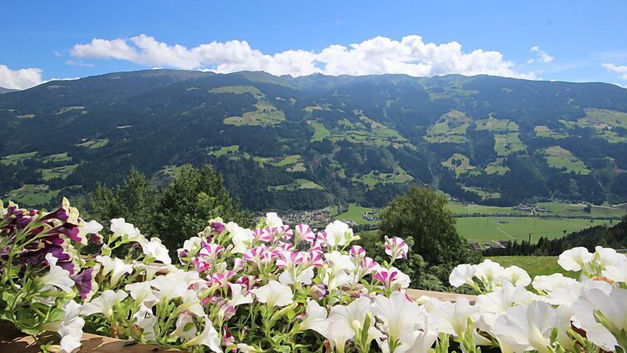 Photo of Others in Aschau Im Zillertal