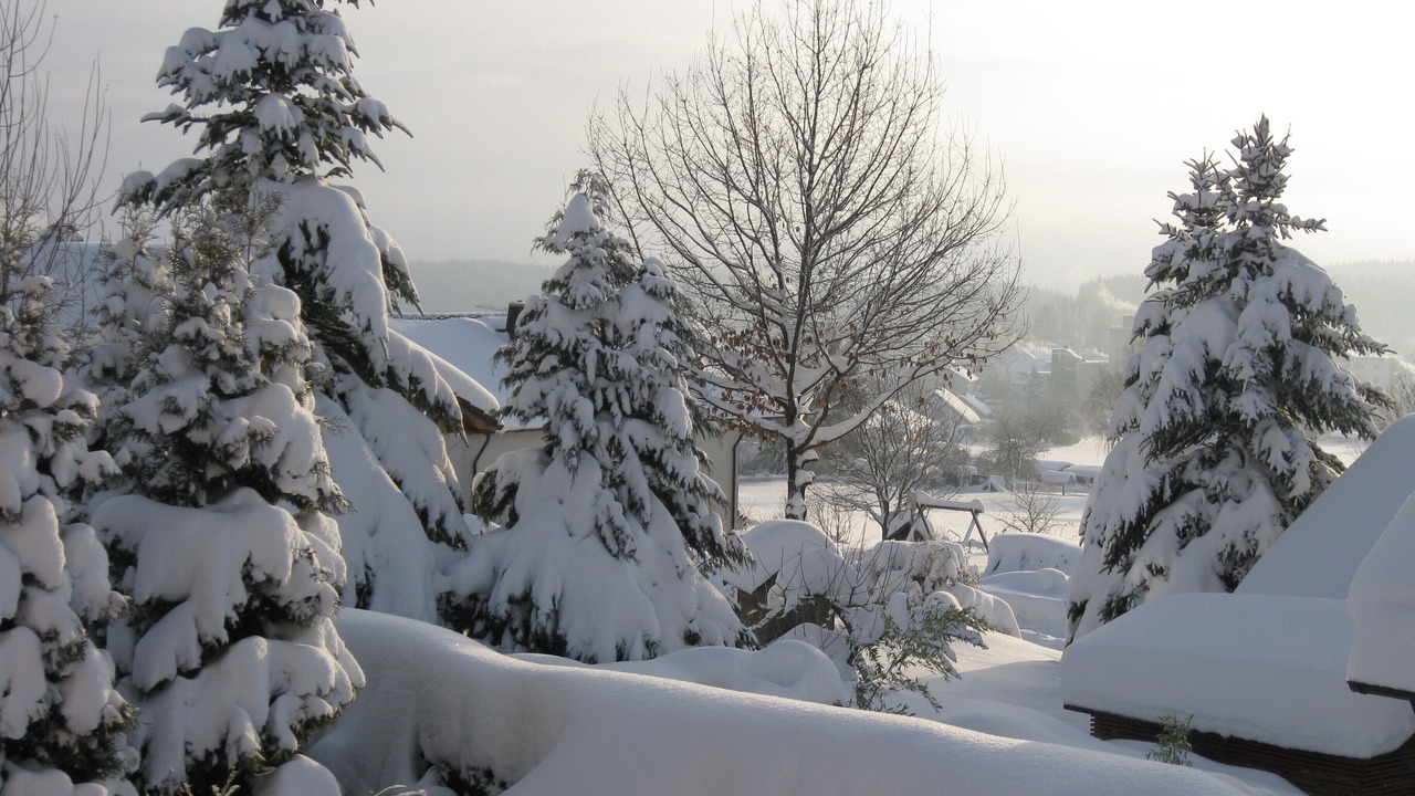 Photo of Outdoor in Schoenwald